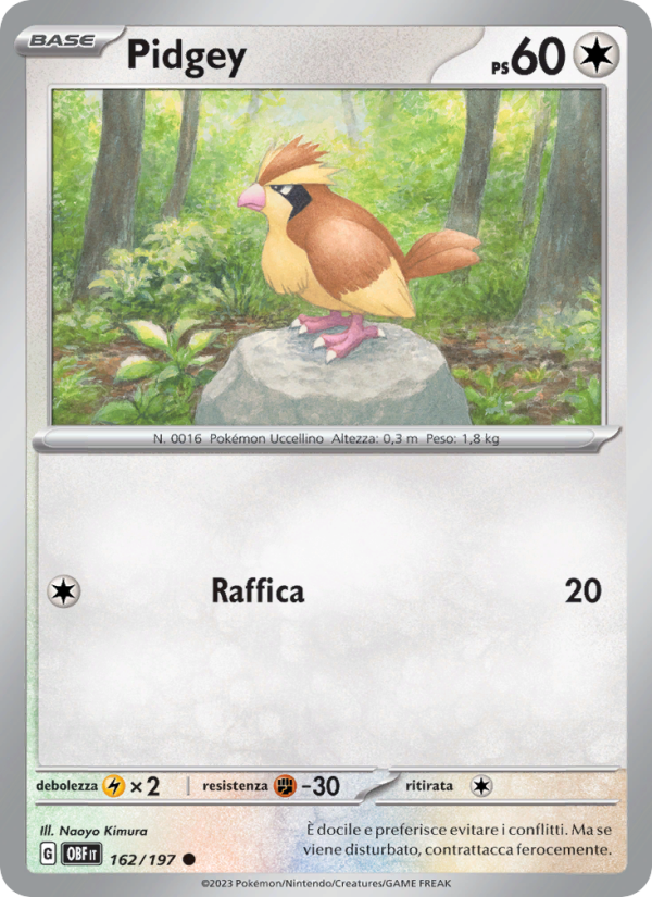 Pidgey