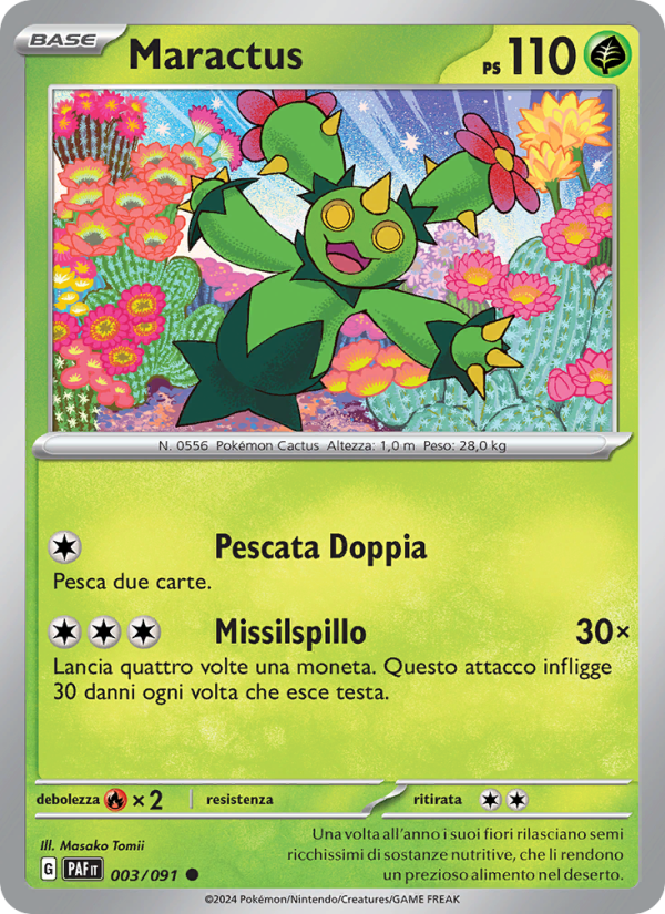 Maractus