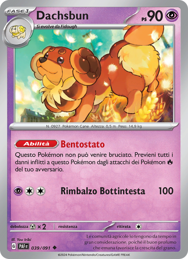 Dachsbun from Destino di Paldea