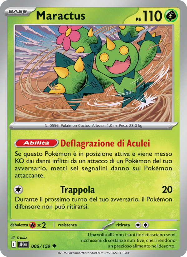 Maractus