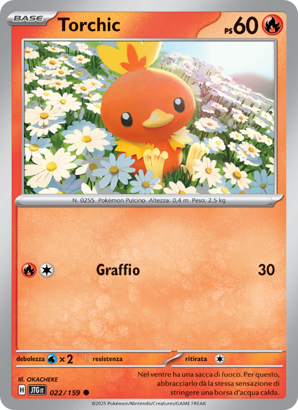 Torchic