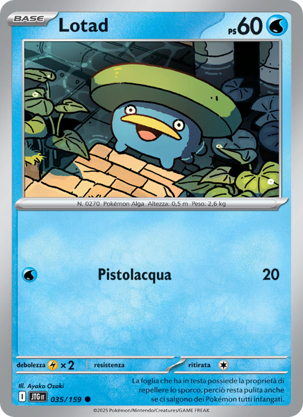 Lotad
