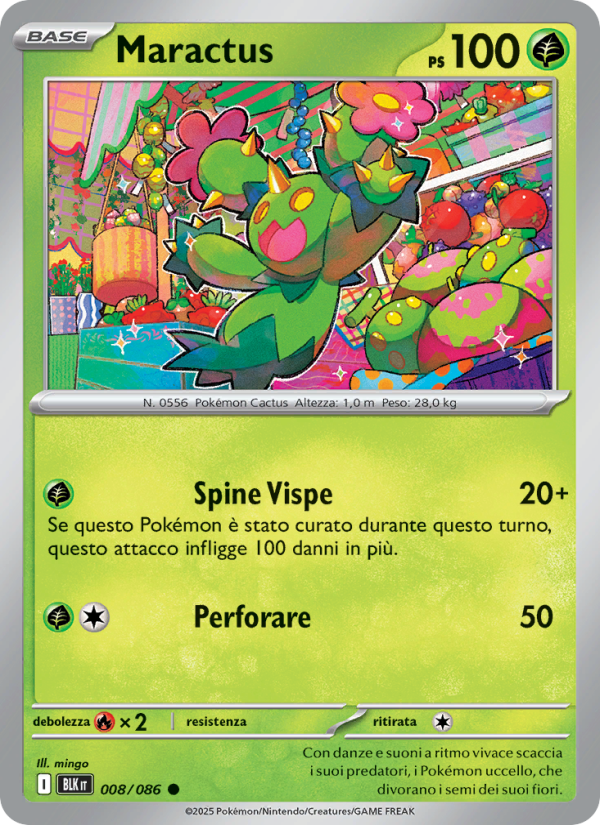 Maractus