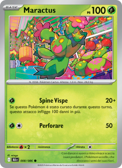 Maractus