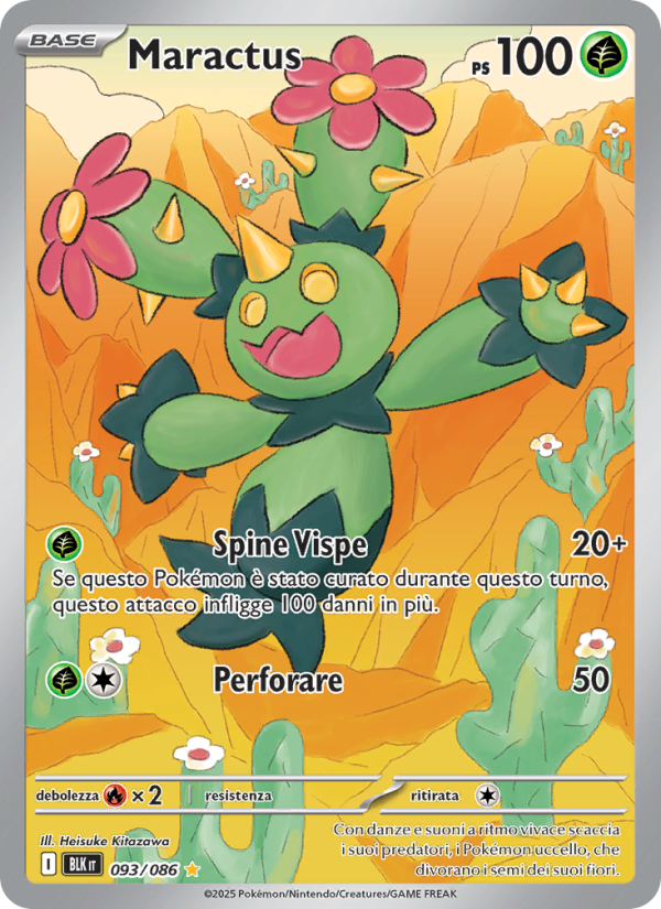 Maractus