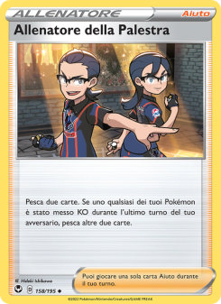 Allenatore della Palestra