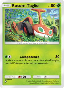 Rotom Taglio
