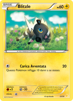 Blitzle from XY trainer Kit (Pikachu Libre)