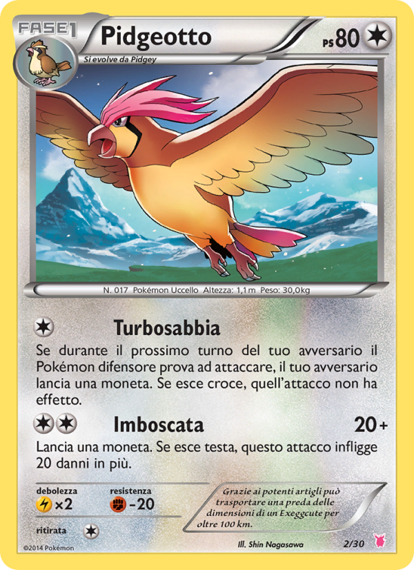 Pidgeotto from XY trainer Kit (Wigglytuff)