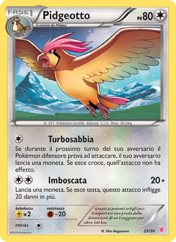 Pidgeotto from XY trainer Kit (Wigglytuff)