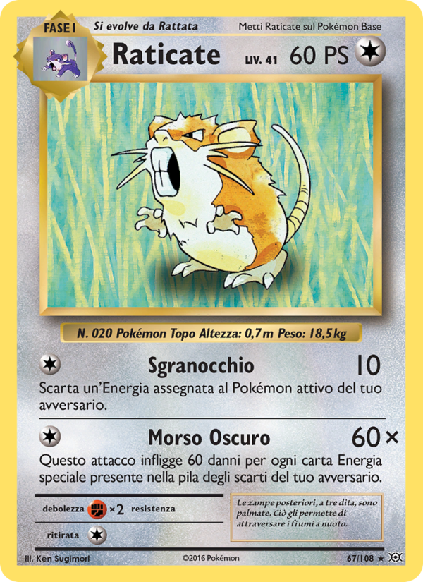 Raticate