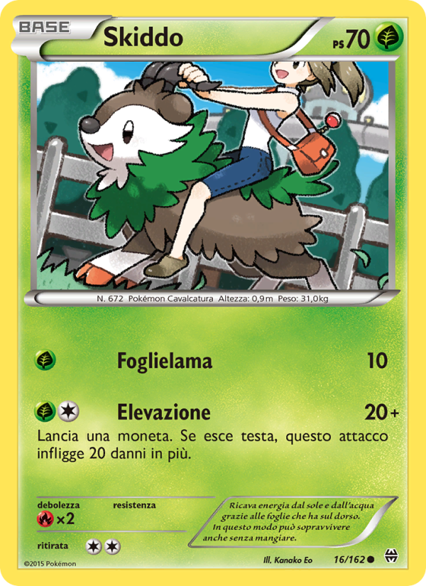 Skiddo