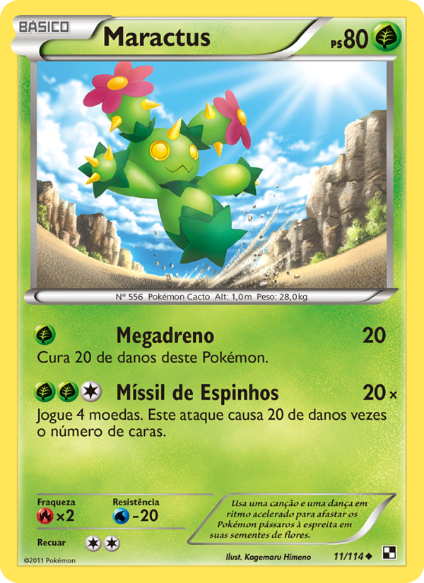Maractus