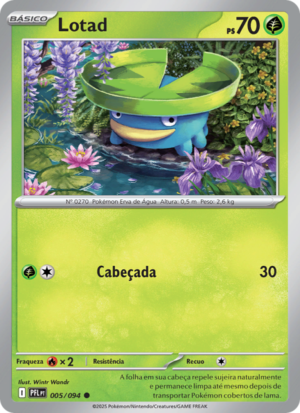 Lotad