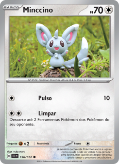 Minccino