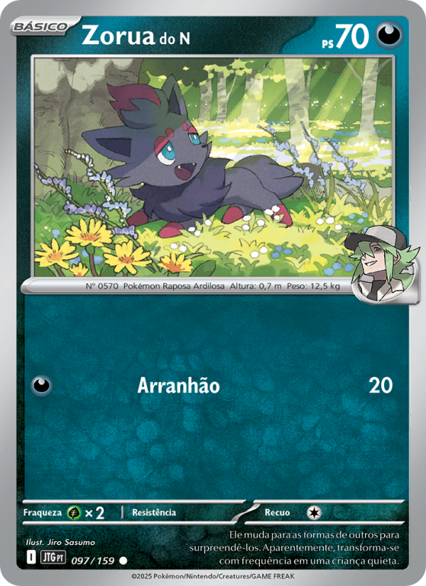 Zorua do N from Amigos de Jornada