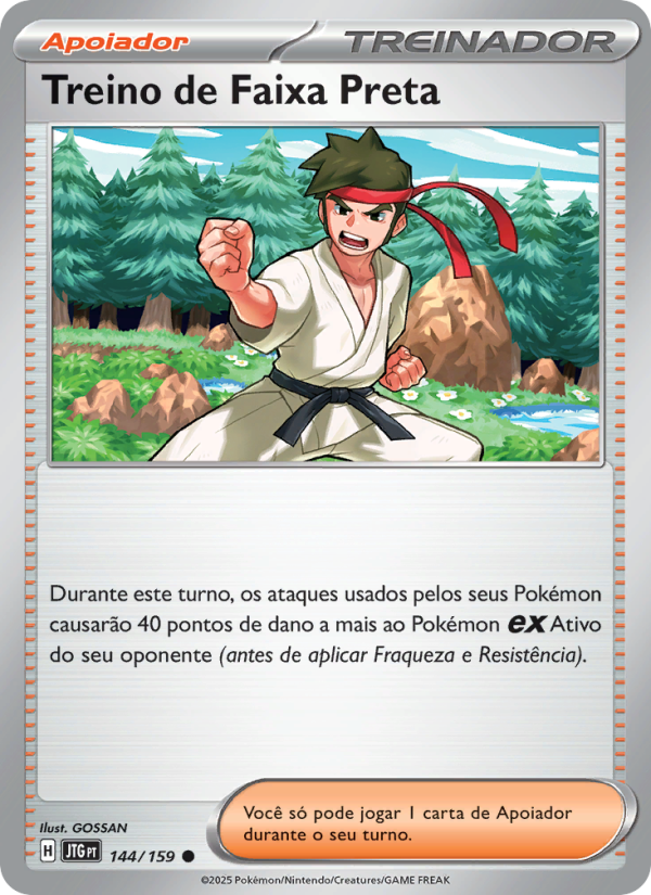 Treino de Faixa Preta