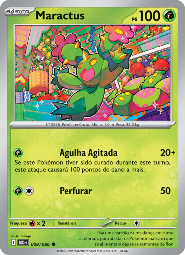Maractus