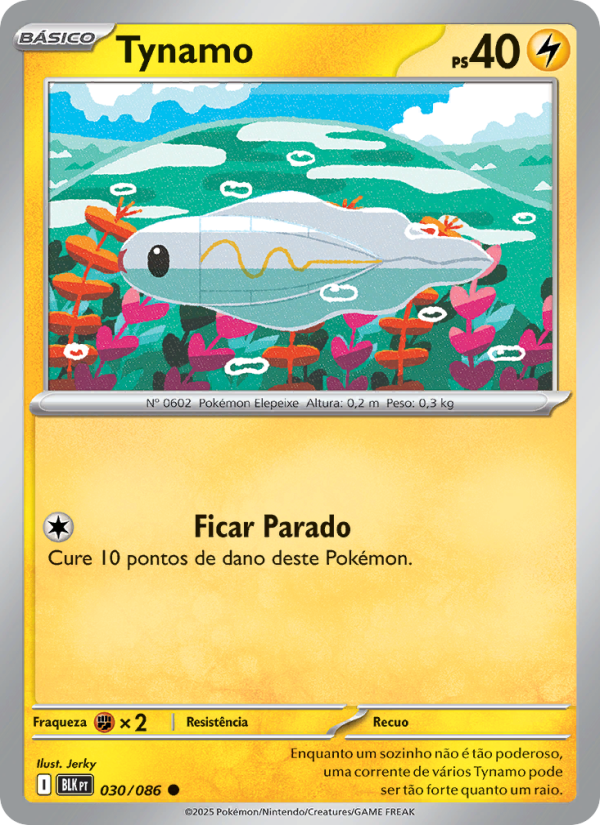 Tynamo from Raio Preto