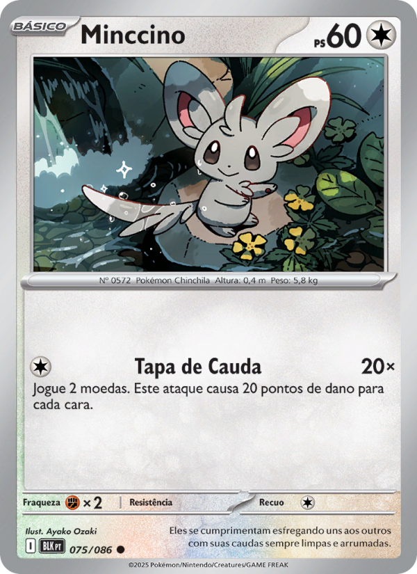 Minccino