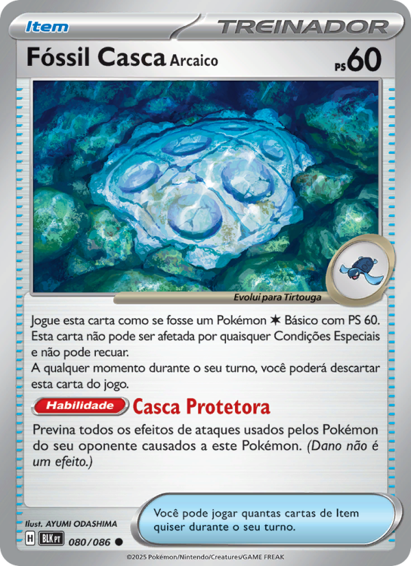 Fóssil Casca Arcaico from Raio Preto