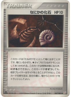 なにかの化石