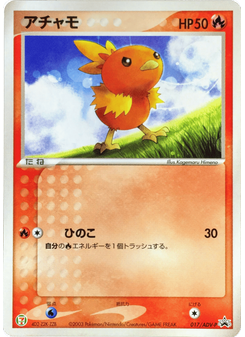 Torchic