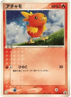 Torchic