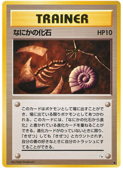 なにかの化石
