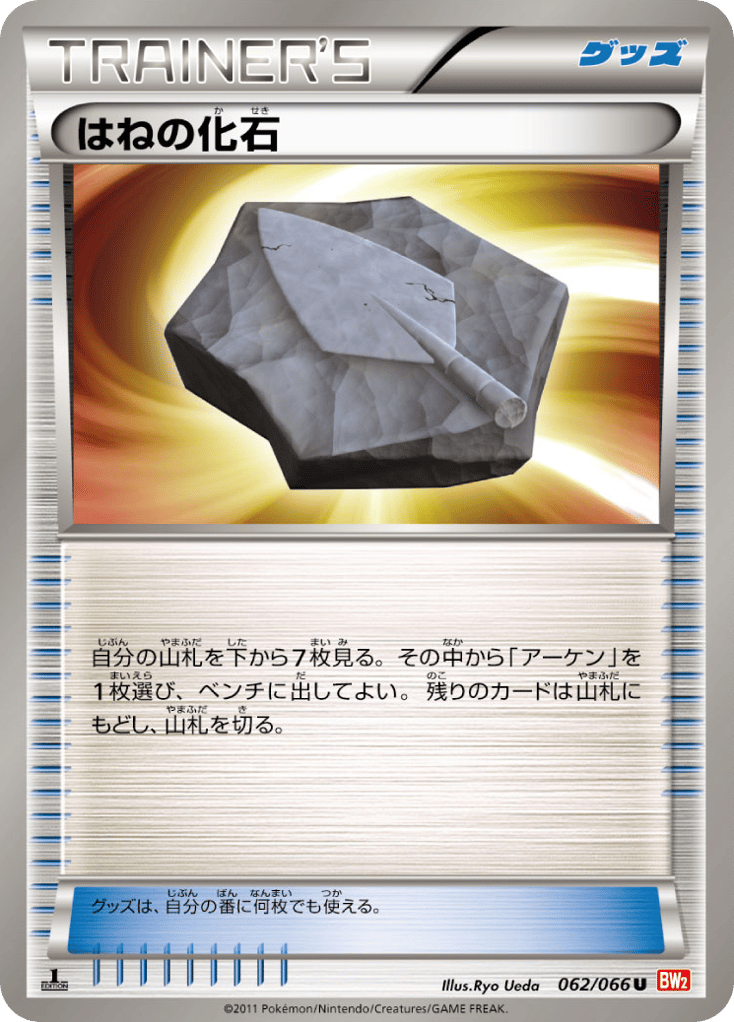 はねの化石