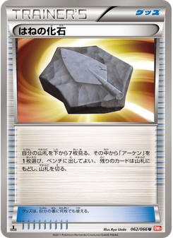 はねの化石