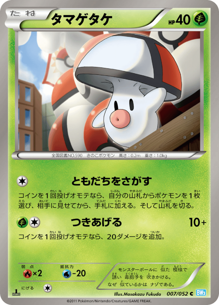 タマゲタケ