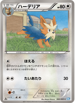 ハーデリア