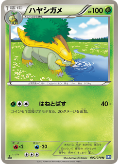 ハヤシガメ