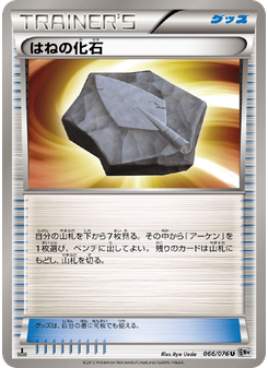 はねの化石