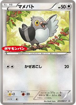 マメパト