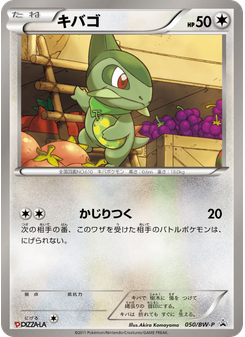 キバゴ