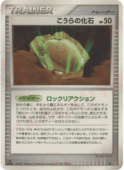 こうらの化石