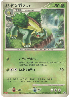 ハヤシガメ