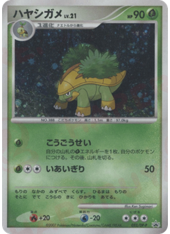 ハヤシガメ