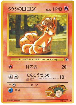 タケシのロコン