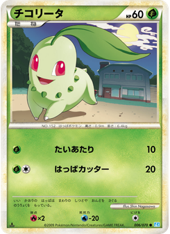 チコリータ