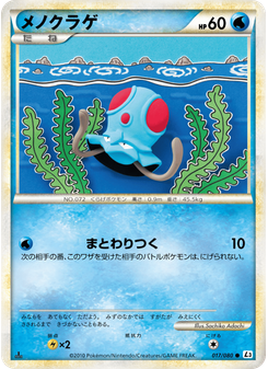 メノクラゲ