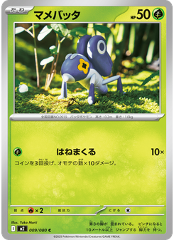 マメバッタ