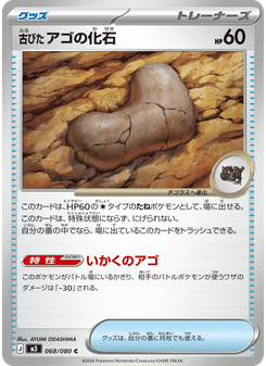 古びたアゴの化石