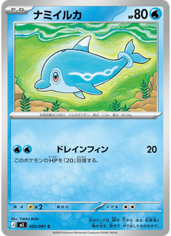ナミイルカ