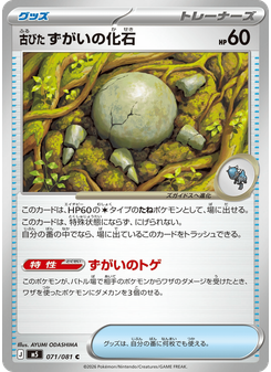 古びたずがいの化石