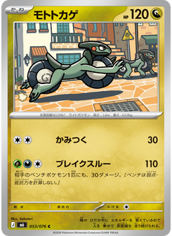モトトカゲ