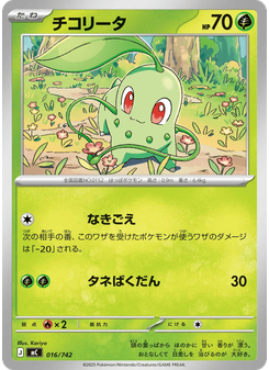 チコリータ