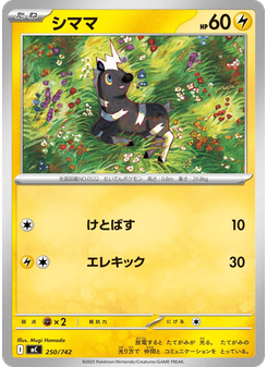 シママ